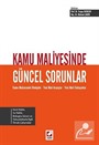 Kamu Maliyesinde Güncel Sorunlar