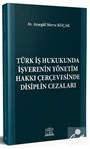 Türk İş Hukukunda İşverenin Yönetim Hakkı Çerçevesinde Disiplin Cezaları