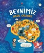 Beynimiz Nasıl Çalışır?